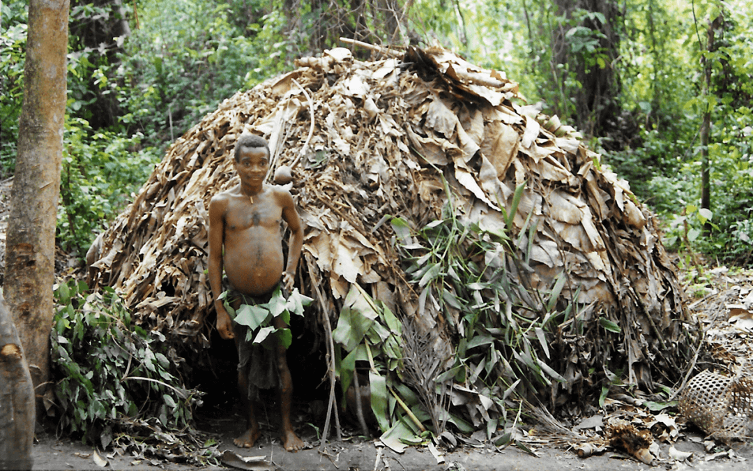 How To Save The Pygmies