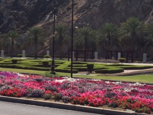 gardens on Oman's Corniche