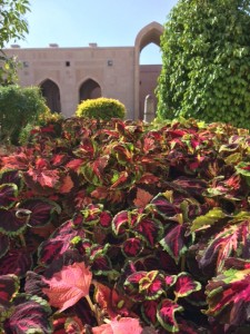 landscaping at the mosque
