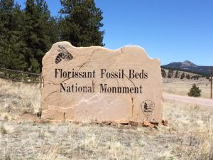 Stone that says Florissant Fossil Beds