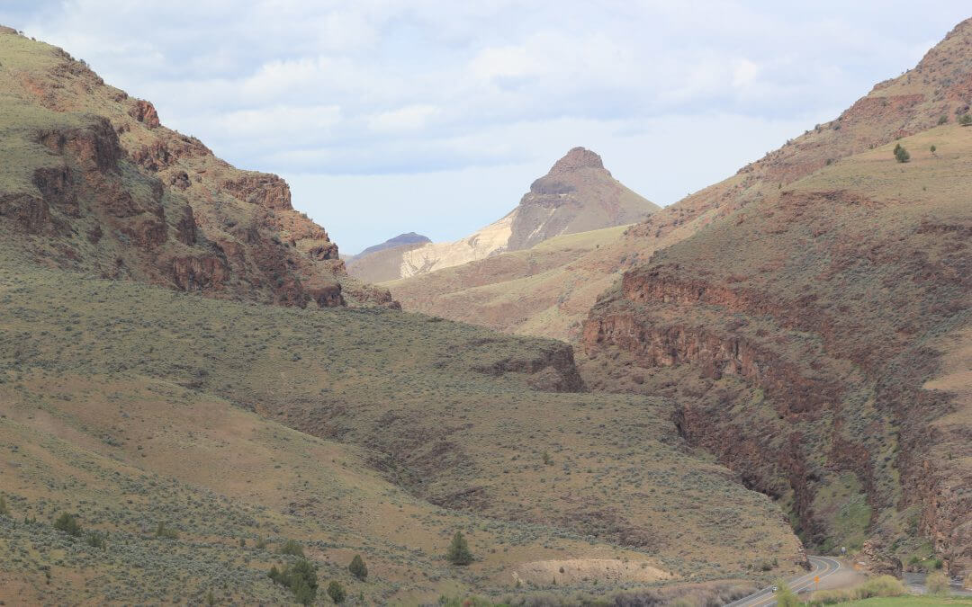 Our Amazing National Parks Even Make Fossils Exciting