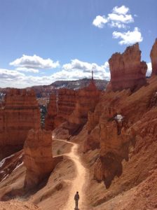 Trail at Bryce National Park