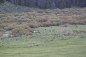 Nez Perce Tent poles memorial