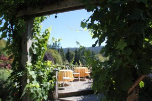 Salt Spring Winery