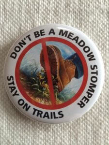 Stay on the Trails badge