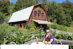 Salt Spring Vineyards