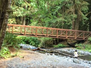 bridge to the waterfall hike