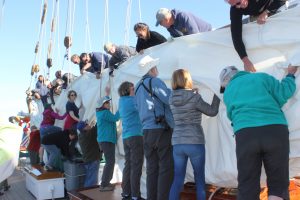 Lowering and packing the sail